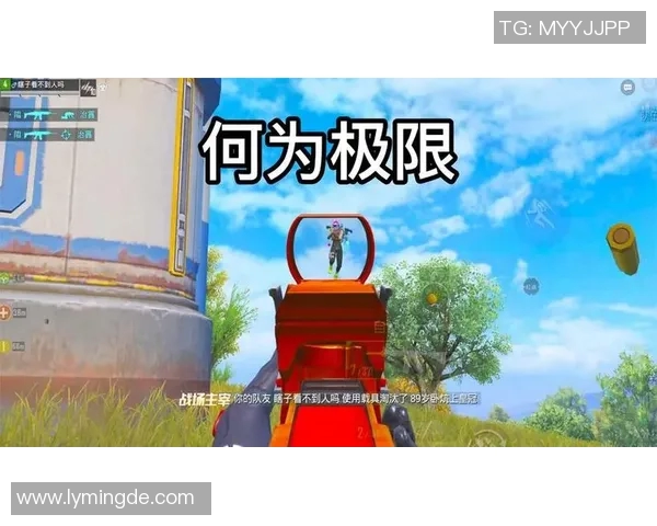 吴丽专访：从新手到高手的和平精英成长之路回顾与展望