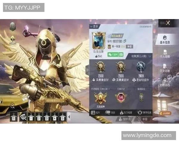 和平精英与LOL交织的荣耀之路IG战队S15奋斗历程全景回顾 和平精英与LOL交织的荣耀之路IG战队S15奋斗历程全景回顾