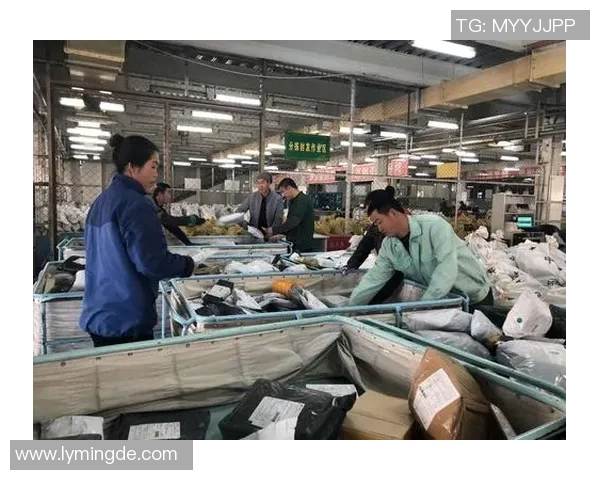 电竞新闻赵军畅谈英雄联盟职业生涯中的挑战与成就分享 电竞新闻赵军畅谈英雄联盟职业生涯中的挑战与成就分享